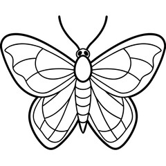 Vintage Moth Engraving