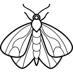 Vintage Moth Engraving