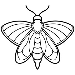 Vintage Moth Engraving