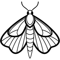 Vintage Moth Engraving