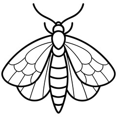 Vintage Moth Engraving