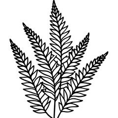 Boston Fern line art vector