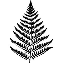 Boston Fern line art vector
