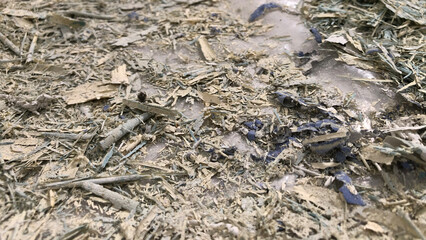 Close-up of peeling and crumbling wall paint revealing layers of decay and texture, perfect for grunge backgrounds or abstract design
