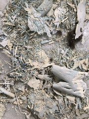 Close-up detail of deteriorating wall surface with peeling, flaking, and crumbling paint.