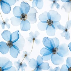 Obraz premium Real Pressed blue flower pattern backgrounds nature petal.