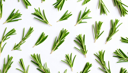 Obraz premium Fresh green rosemary sprigs arranged on white background, showcasing vibrant texture and natural beauty of herb in clean and bright setting