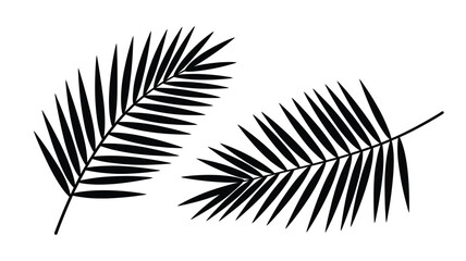 Two black palm fronds on a white background in a simple graphic style © MDANTOR