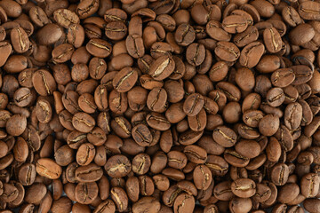 Freshly roasted medium brown coffee beans, close up to reveal their rich texture, harvested from...