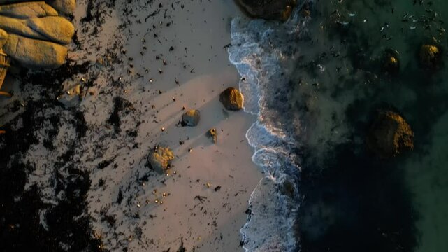 Aerial view of boulders beach with penguins, South Africa.