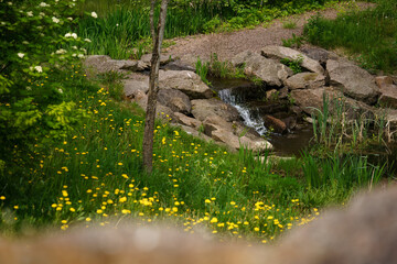 Small stream over rocks in Pioneeripuisto, Kouvola