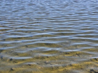 Small waves on the surface in the lake in summer season. Water and waves in day