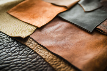 Luxurious leather swatches showcase rich textures and natural colors. Perfect for craft, fashion, and upholstery design.