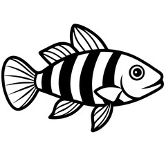 Zebrafish Sketch Vector in Monoline Style
