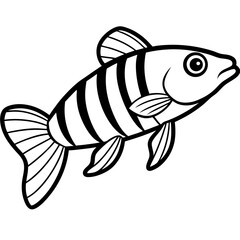 Zebrafish Sketch Vector in Monoline Style