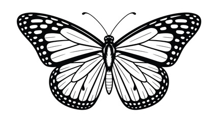 Monarch butterfly in black and white outline on a white background
