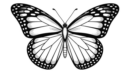 Detailed black and white illustration of a monarch butterfly with open wings