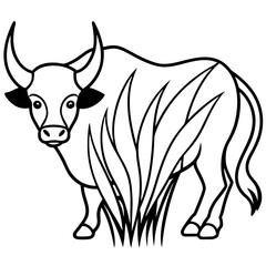 Buffalo Grass line art vector
