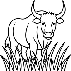 Buffalo Grass line art vector