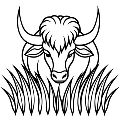 Buffalo Grass line art vector
