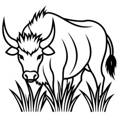 Fototapeta premium Buffalo Grass line art vector
