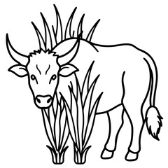 Buffalo Grass line art vector