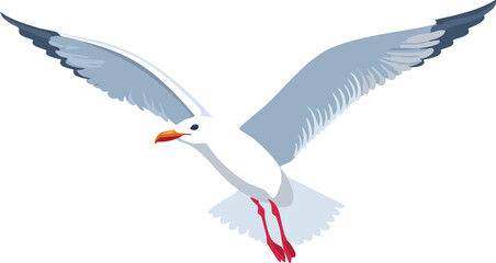 Fototapeta premium set of seagulls in flight, flying white birds cut out,bird, wing, illustration, animal, design, nature, vector, black and white, contour, feather, flight, fly, flying, graphic, horizontal, jungle, 