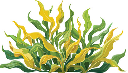 seaweed kelp plants isolated on transparent background, cutout png,biology, colourful, colours, diving, eco, glossy, japan, lawn, reef, single, stripes, system, underwater, wet, wildlife,vector.