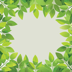 Fototapeta premium frame of green leaves, fresh hedge lush plants forming a frame with empty space for text. transparent white background. cutout.border, decor, floral, eco, spring, tree, space, hedge, beauty,