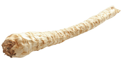 Horseradish root whole background isolated on a Transparent background, PNG file.