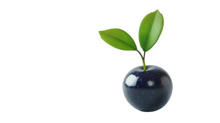 Huckleberry dark and glossy fruit background isolated on a Transparent background, PNG file.