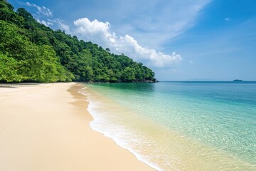 Obraz premium Beautiful white sand beach at the serene sea coast with lush greenery in the background, White sand beach of sea coast