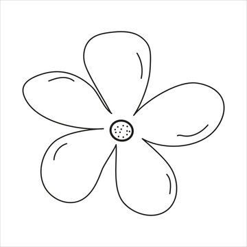 Flower Petal line art icon vector