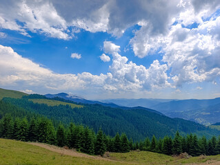 A grassy hillside with trees and mountains in the background