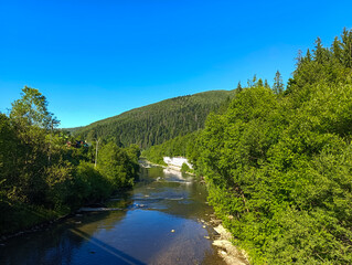 A river running through a lush green forest