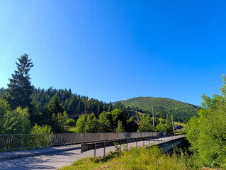 Fototapeta premium A bridge over a road in the middle of a forest