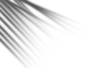 Gradient overlay effect, abstract background, texture design on transparent background.