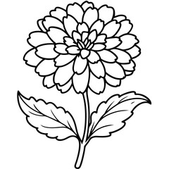 Calendula line art vector