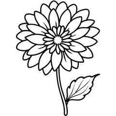 Fototapeta premium Calendula line art vector