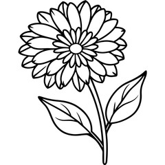 Calendula line art vector