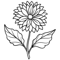 Calendula line art vector