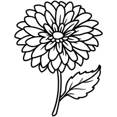 Calendula line art vector