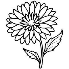 Calendula line art vector