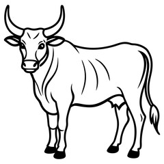 Zebu Animal Line Art Vector