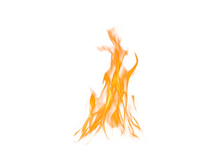 Isolated orange flame on white background