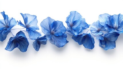 Delicate blue petals arranged on white background, soft floral minimal composition