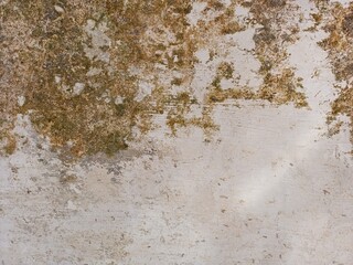 Minimalist Grunge Wall with Organic Mold Stains
