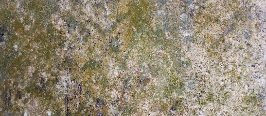 Natural Camouflage Pattern of a Grungy Surface