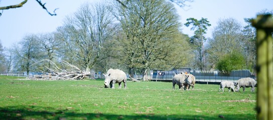 Selection of photos i took