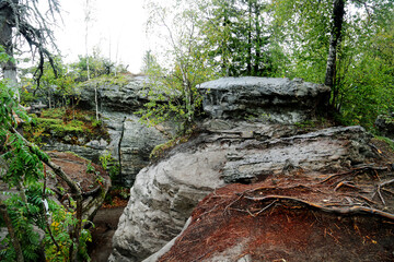 Landscape with rocks and boulders with green trees on a clear sunny day. Flora floristry landscaping plants flowers.